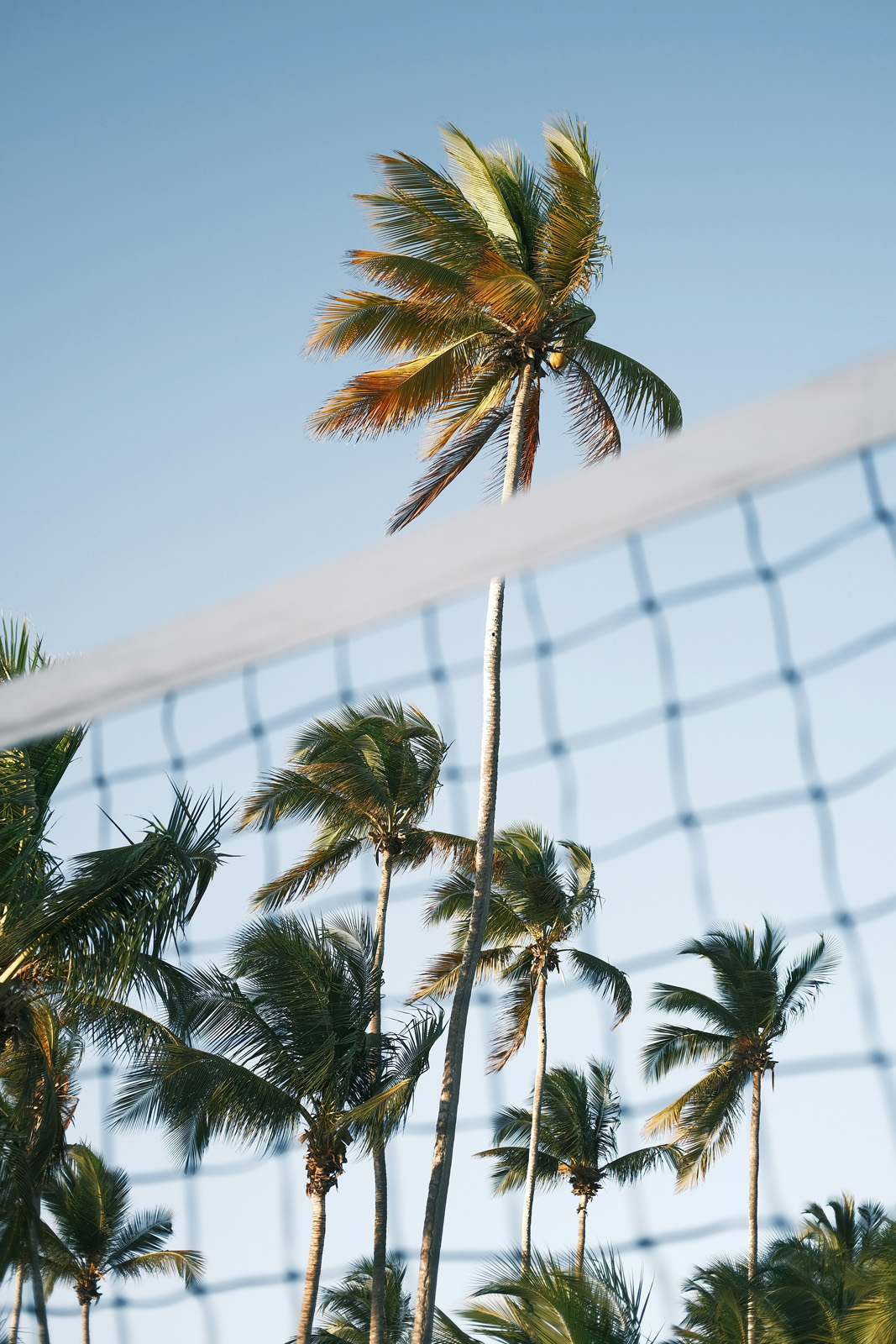 United-States-Property-for-Sale-Rent-New-York-Miami-Portland- (18)_