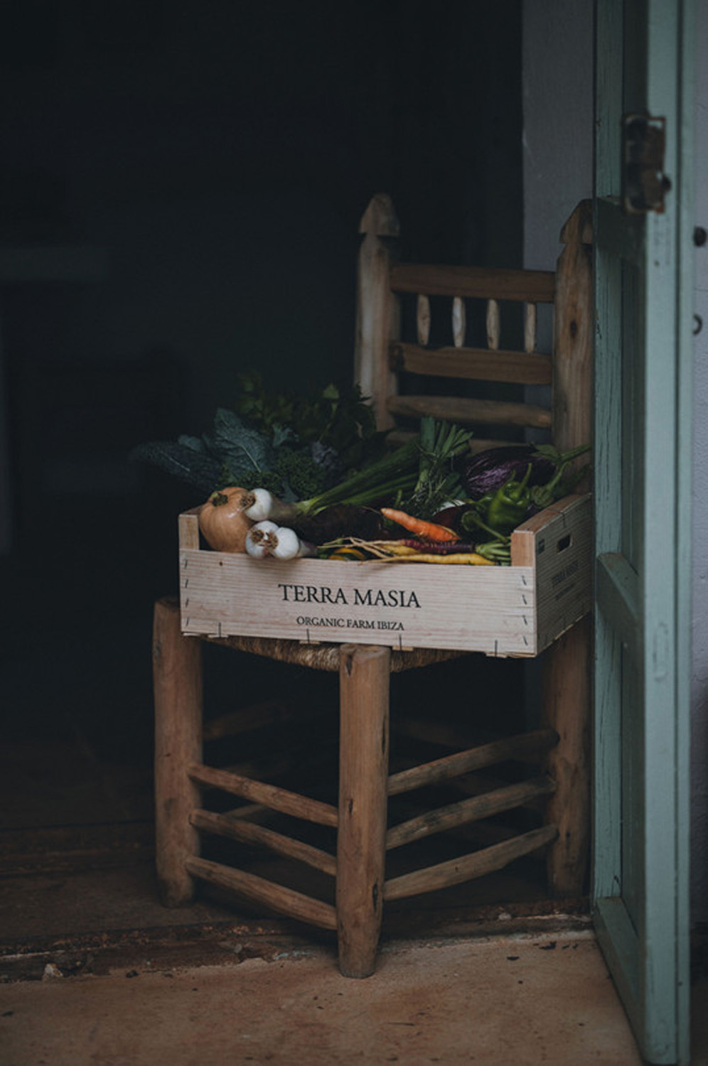 Vegetables of Terra Masia